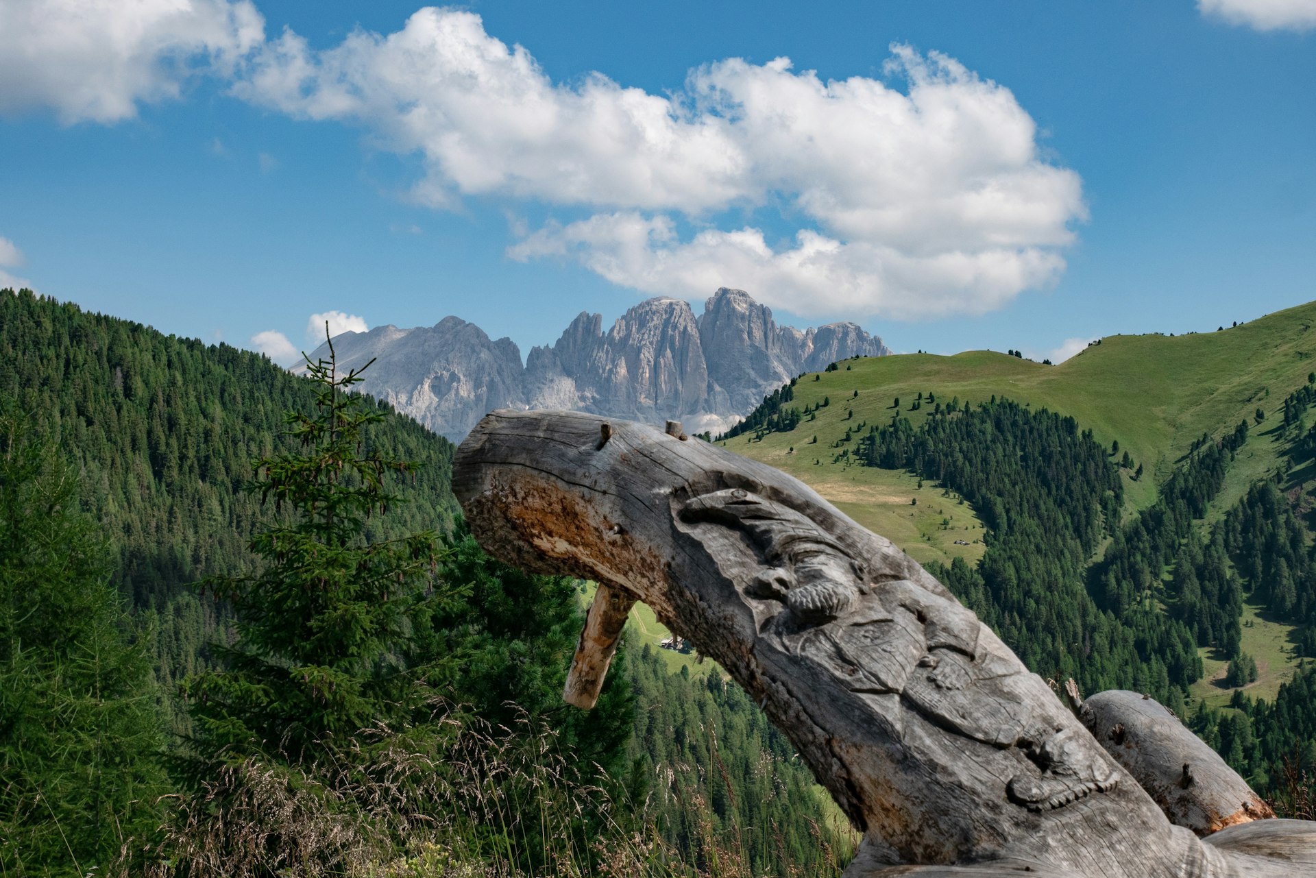photography of mountain range during daytime
